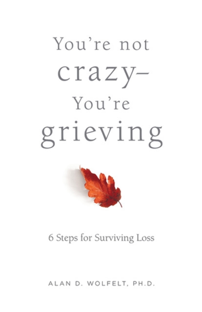 You're Not Crazy-You're Grieving: : 6 Steps for Surviving Loss, Paperback / softback Book