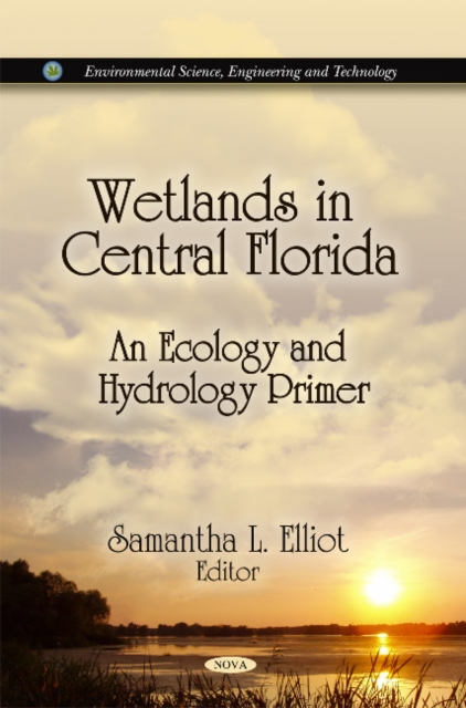 Wetlands in Central Florida : An Ecology & Hydrology Primer, Paperback / softback Book