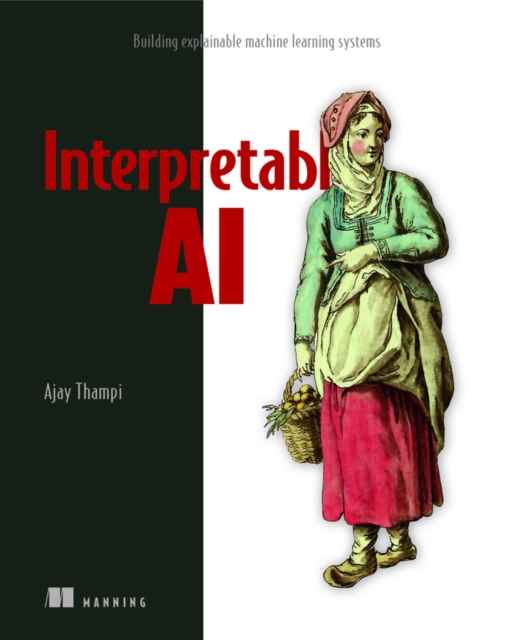 Interperetable AI, Paperback / softback Book