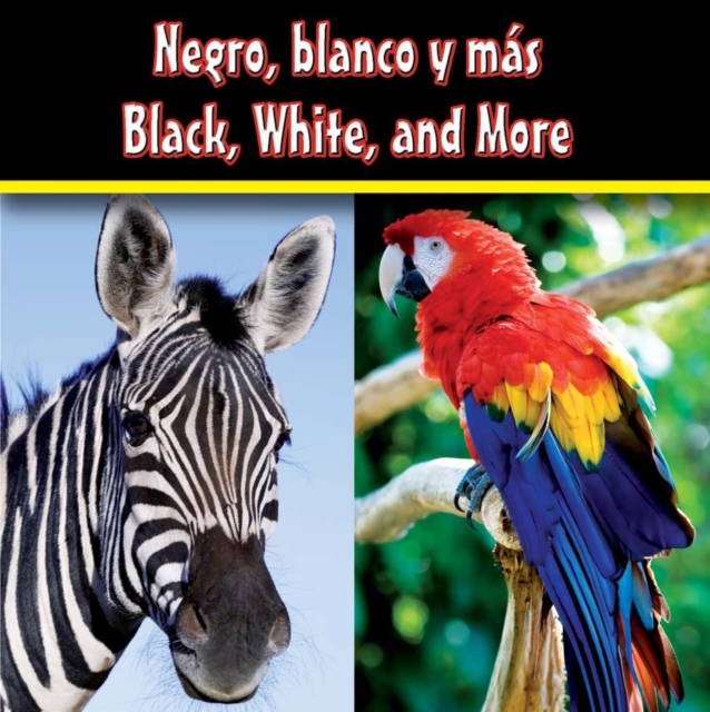 Negro, blanco y mas : Black, White, and More, PDF eBook