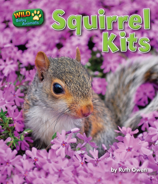 Squirrel Kits, PDF eBook