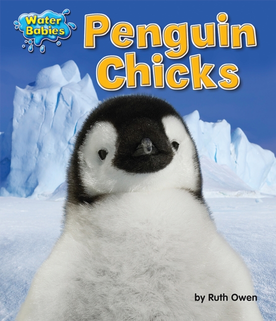 Penguin Chicks, PDF eBook
