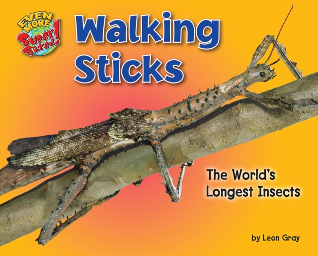 Walking Sticks, PDF eBook