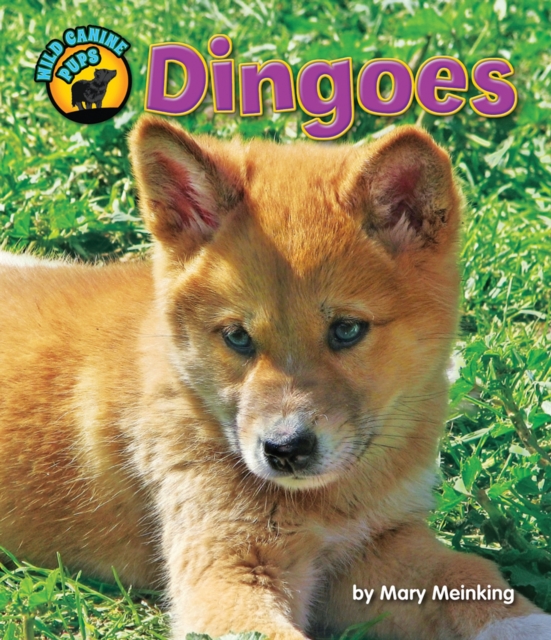Dingoes, PDF eBook
