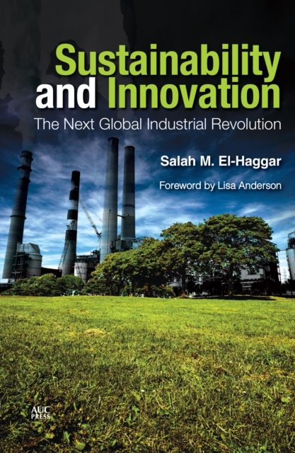 Sustainability and Innovation : The Next Global Industrial Revolution, PDF eBook