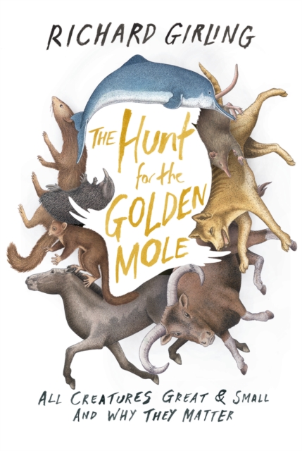 Hunt for the Golden Mole, EPUB eBook