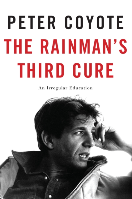 The Rainman's Third Cure : An Irregular Education, Hardback Book