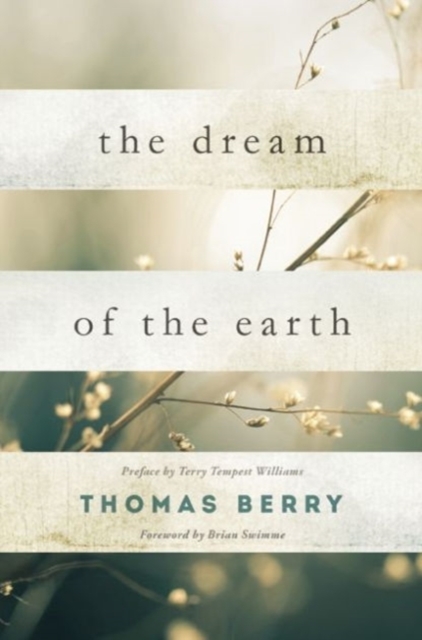 The Dream Of The Earth, Paperback / softback Book