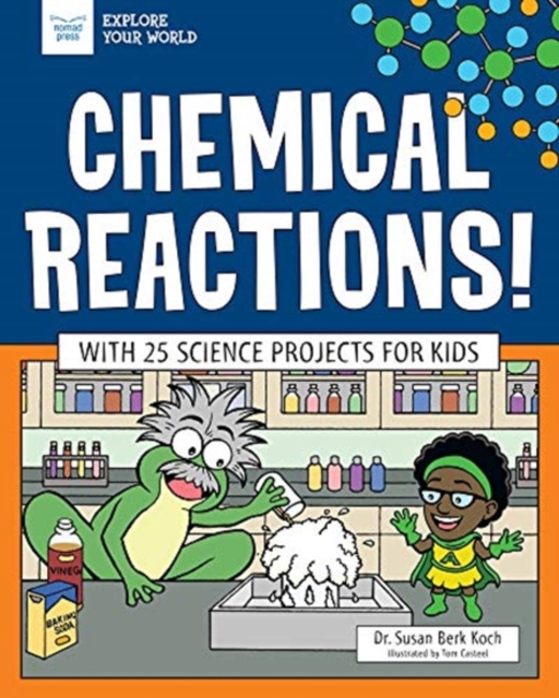 CHEMICAL REACTIONS, Paperback Book