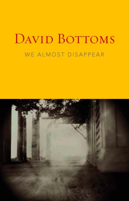 We Almost Disappear, EPUB eBook