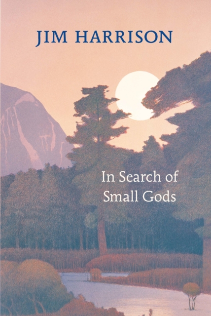 In Search of Small Gods, EPUB eBook