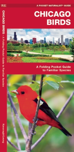 Chicago Birds, Pamphlet Book