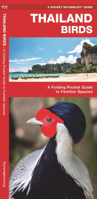 Thailand Birds : A Folding Pocket Guide to Familiar Species, Pamphlet Book