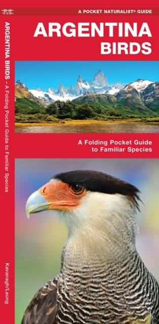 Argentina Birds : A Folding Pocket Guide to Familiar Species, Pamphlet Book