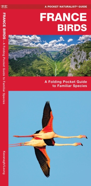 France Birds : A Folding Pocket Guide to Familiar Species, Pamphlet Book