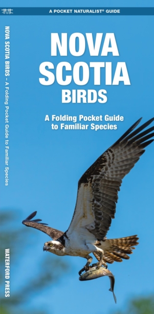Nova Scotia Birds : A Folding Pocket Guide to Familiar Species, Pamphlet Book