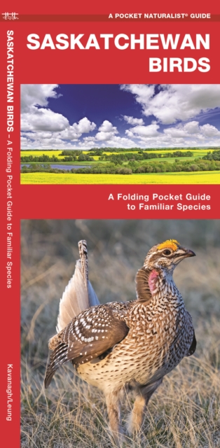 Saskatchewan Birds : A Folding Pocket Guide to Familiar Species, Pamphlet Book