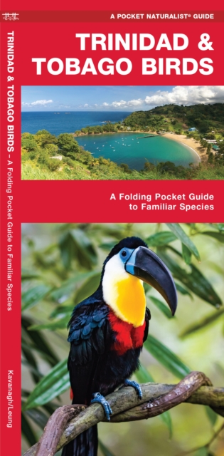 Trinidad & Tobago Birds : A Folding Pocket Guide to Familiar Species, Pamphlet Book