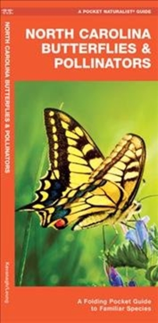 North Carolina Butterflies & Pollinators : A Folding Pocket Guide to Familiar Species, Pamphlet Book
