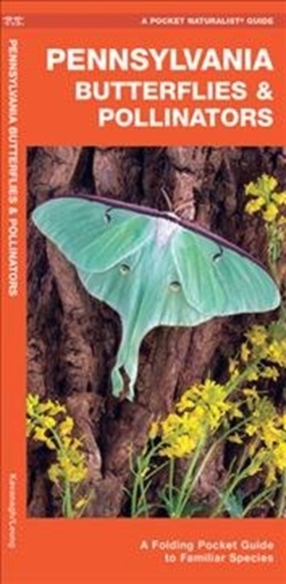 Pennsylvania Butterflies & Pollinators : A Folding Pocket Guide to Familiar Species, Pamphlet Book