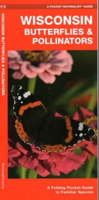 Wisconsin Butterflies & Pollinators : A Folding Pocket Guide to Familiar Species, Pamphlet Book