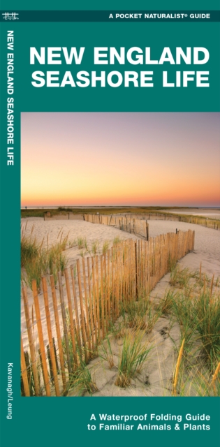 New England Seashore Life : A Waterproof Folding Guide to Familiar Animals & Plants, Pamphlet Book