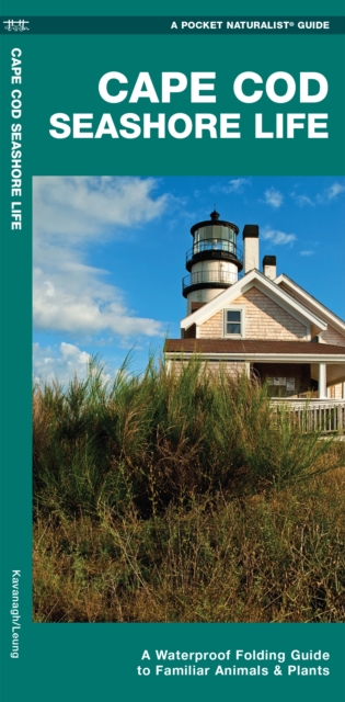 Cape Cod Seashore Life : A Waterproof Folding Guide to Familiar Animals & Plants, Pamphlet Book