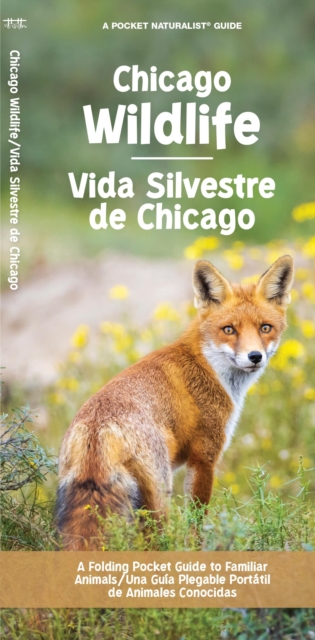 Chicago Wildlife/Fauna de Chicago : A Folding Pocket Guide to Familiar Animals/Una Guia Plegable Portatil de Animales Conocidas, Pamphlet Book