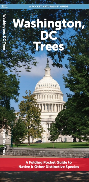 Washington, DC Trees : A Folding Pocket Guide to Native & Other Distinctive Species, Pamphlet Book
