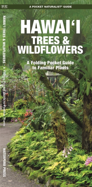 Hawai'i Trees & Wildflowers : A Folding Pocket Guide to Familiar Plants, Pamphlet Book