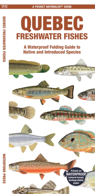 Quebec Freshwater Fishes : A Waterproof Folding Guide to Native and Introduced Species, Pamphlet Book