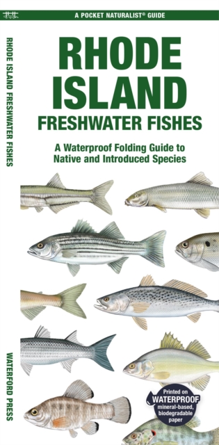 Rhode Island Freshwater Fishes : A Waterproof Folding Guide to Native and Introduced Species, Pamphlet Book