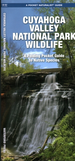 Cuyahoga Valley National Park Wildlife : A Folding Pocket Guide to Native Species, Pamphlet Book