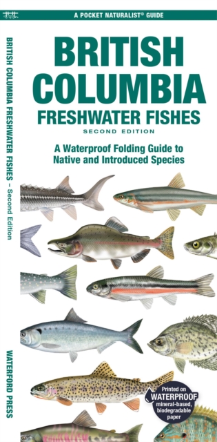 British Columbia Freshwater Fishes : A Waterproof Folding Guide to Native and Introduced Species, Pamphlet Book