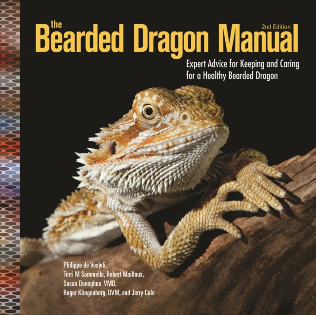 The Bearded Dragon Manual : Expert Advice for Keeping and Caring For a Healthy Bearded Dragon, EPUB eBook