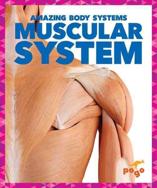 Muscular System, Hardback Book