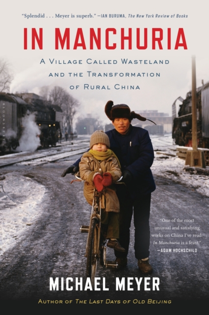 In Manchuria : A Village Called Wasteland and the Transformation of Rural China, Paperback Book