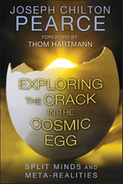 Exploring the Crack in the Cosmic Egg : Split Minds and Meta-Realities, Paperback / softback Book