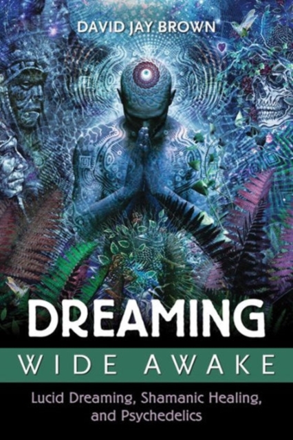 Dreaming Wide Awake : Lucid Dreaming, Shamanic Healing, and Psychedelics, Paperback / softback Book