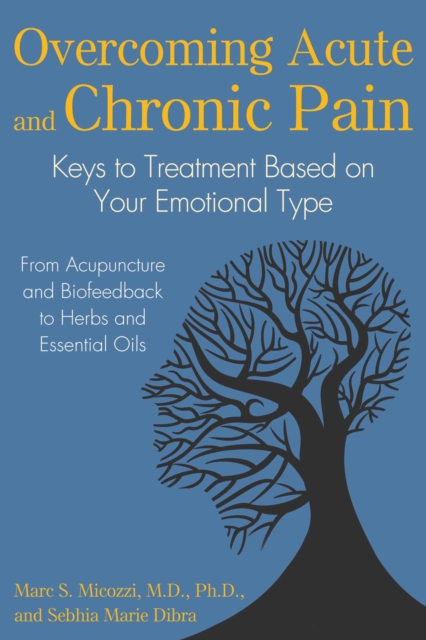 Overcoming Acute and Chronic Pain : Keys to Treatment Based on Your Emotional Type, EPUB eBook