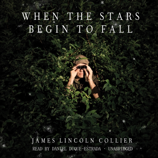 When the Stars Begin to Fall, eAudiobook MP3 eaudioBook