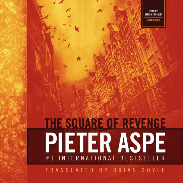 The Square of Revenge, eAudiobook MP3 eaudioBook