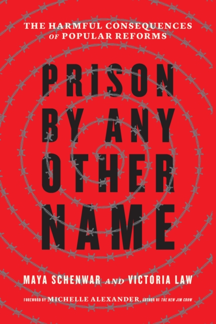 Prison by Any Other Name : The Harmful Consequences of Popular Reforms, Hardback Book
