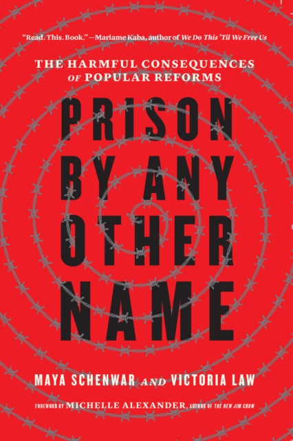 Prison by Any Other Name : The Harmful Consequences of Popular Reforms, EPUB eBook