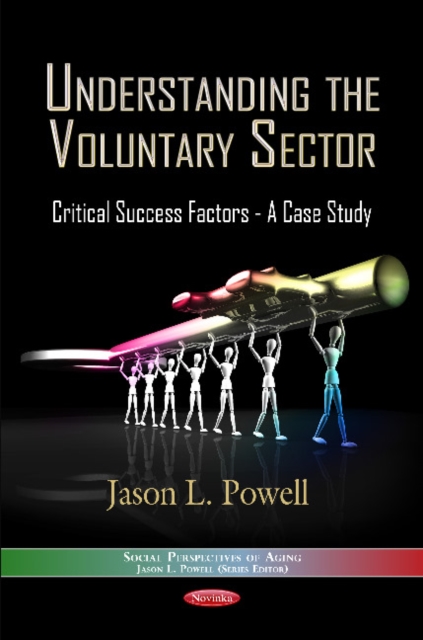 Understanding the Voluntary Sector : Critical Success Factors -- A Case Study, Paperback / softback Book