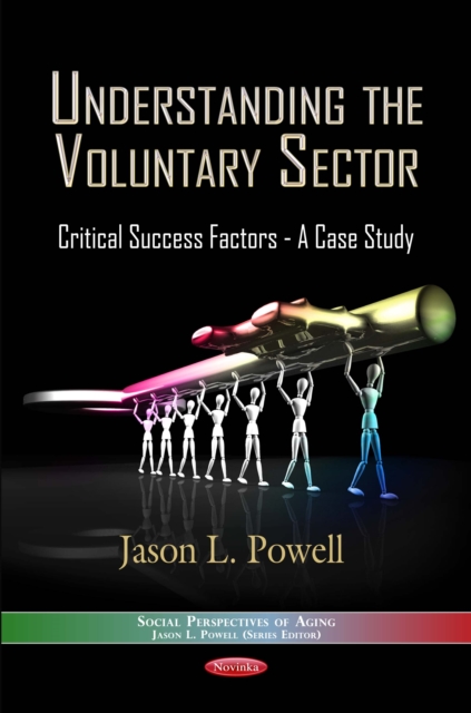 Understanding the Voluntary Sector : Critical Success Factors - A Case Study, PDF eBook