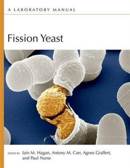 Fission Yeast: A Laboratory Manual, Paperback / softback Book