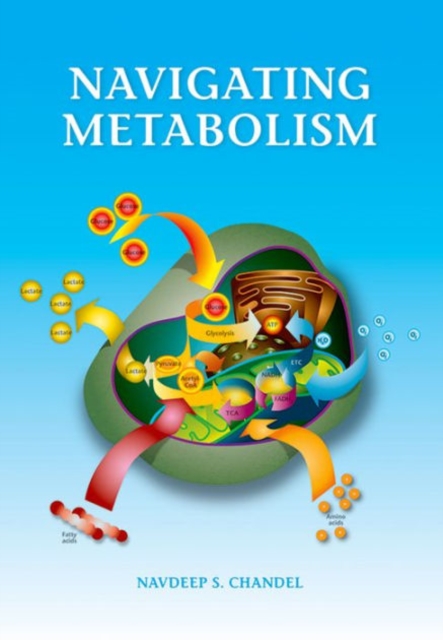 Navigating Metabolism, Paperback / softback Book