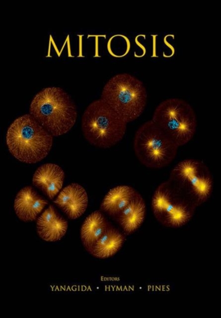 Mitosis, Paperback / softback Book