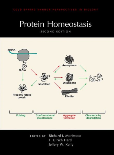 Protein Homeostasis, Second Edition, Hardback Book